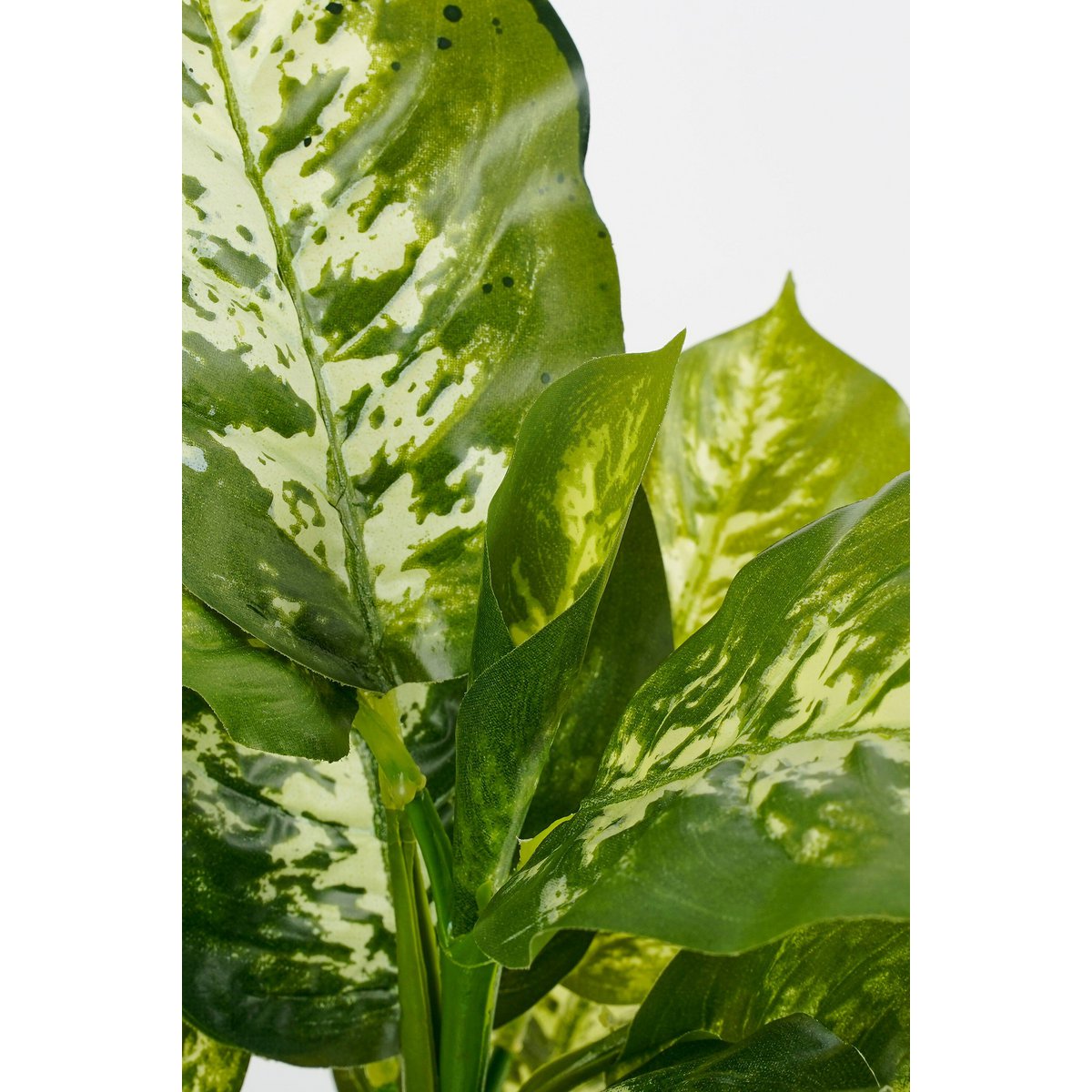 Künstliche Pflanze Dieffenbachia Green