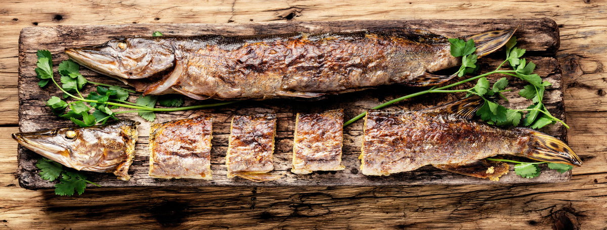Küchenrückwand-Gebackener Fisch - Hecht