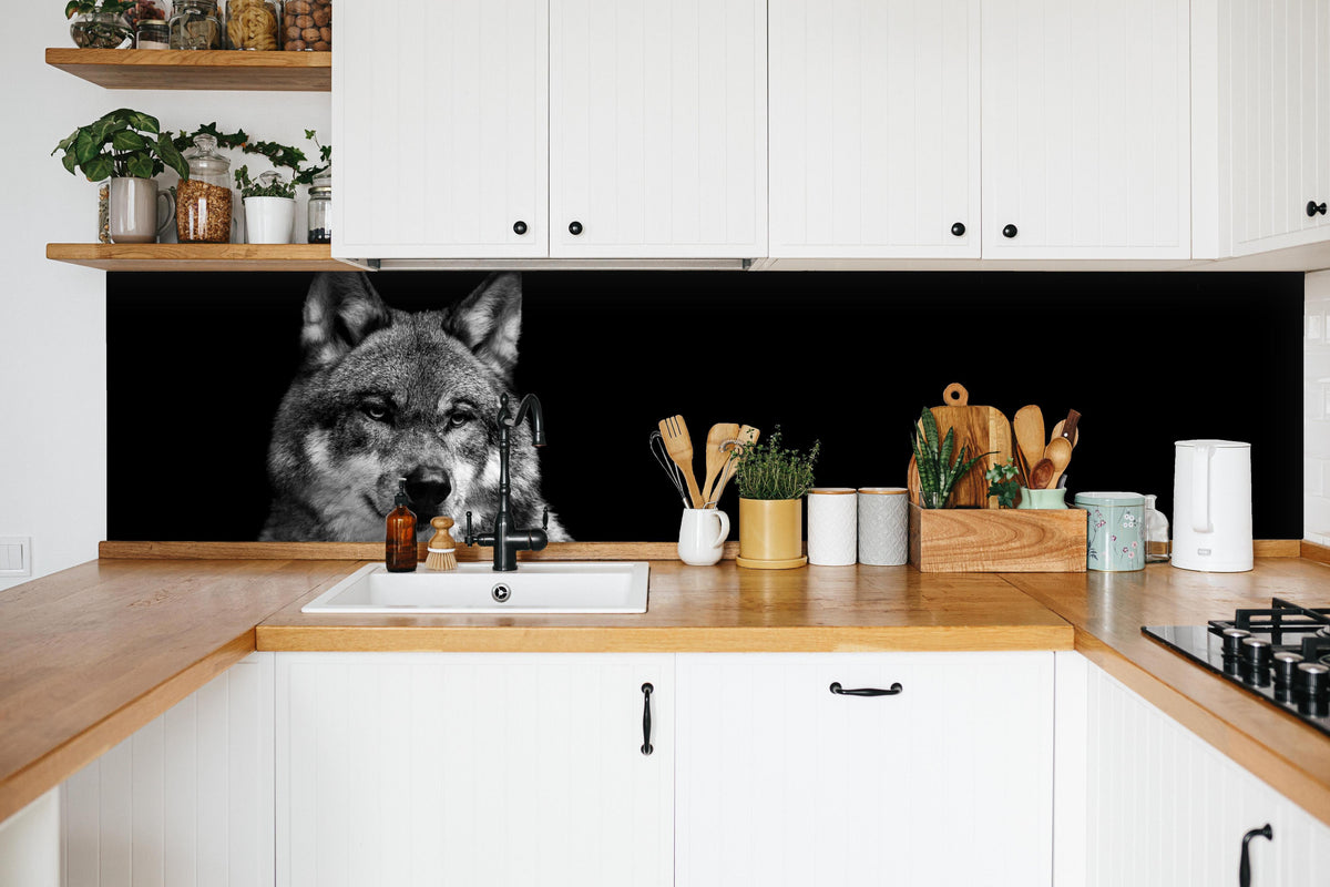 Küche - Grauer Wolf auf schwarzem Hintergrund in weißer Küche hinter Gewürzen und Kochlöffeln aus Holz