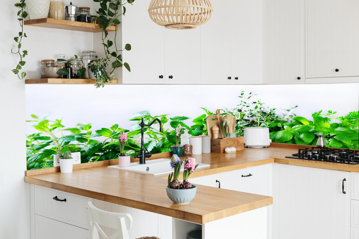Küche - Grüne frische Kräuter in lebendiger Küche mit bunten Blumen