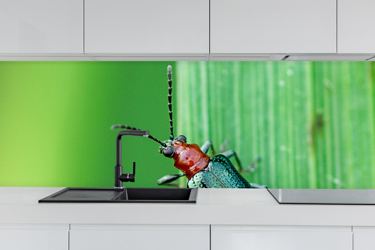 Küche - Käfer auf Blatt hinter weißen Hochglanz-Küchenregalen und schwarzem Wasserhahn