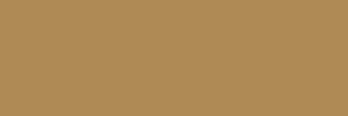 Küchenrückwand-RAL 1011 (Braunbeige)