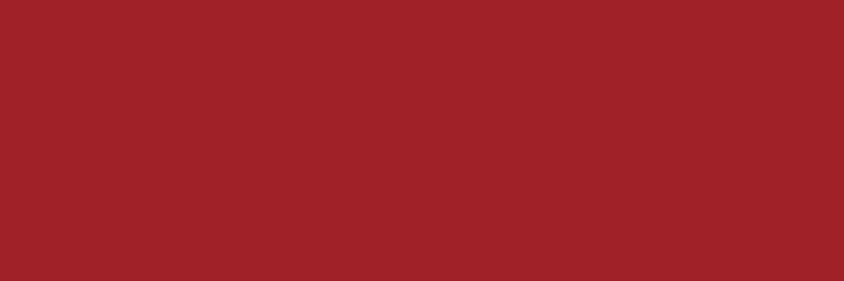 Küchenrückwand-RAL 3001 (Signalrot)
