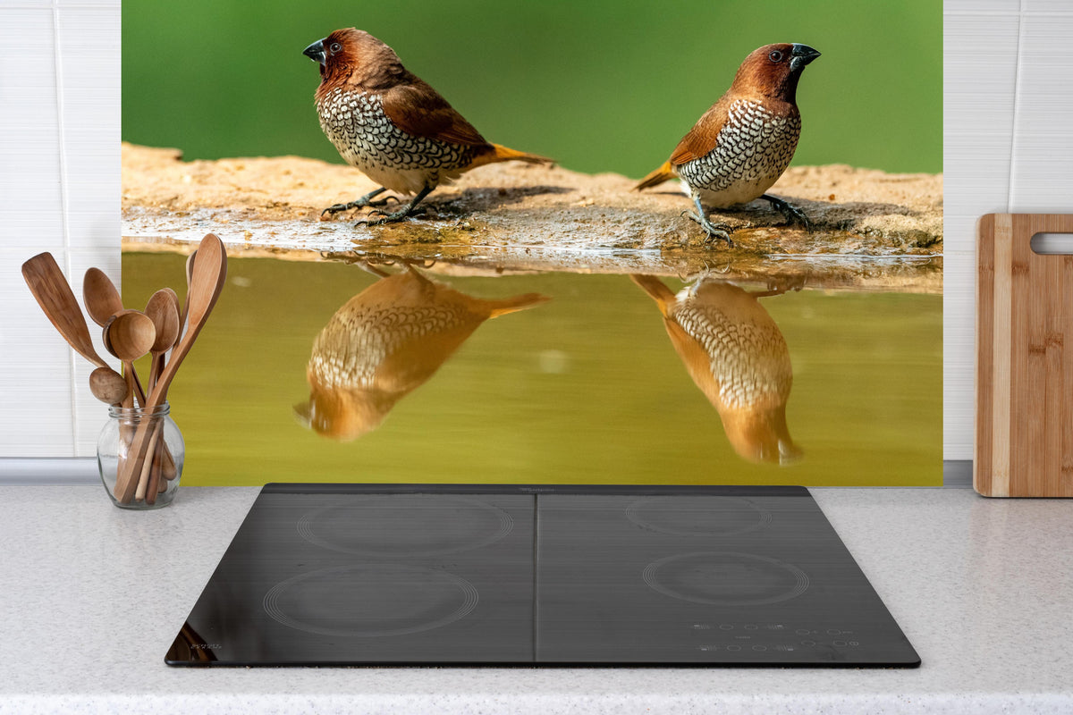 Küche - Vögel Spiegelung im Wasser hinter Cerankochfeld und Holz-Kochutensilien