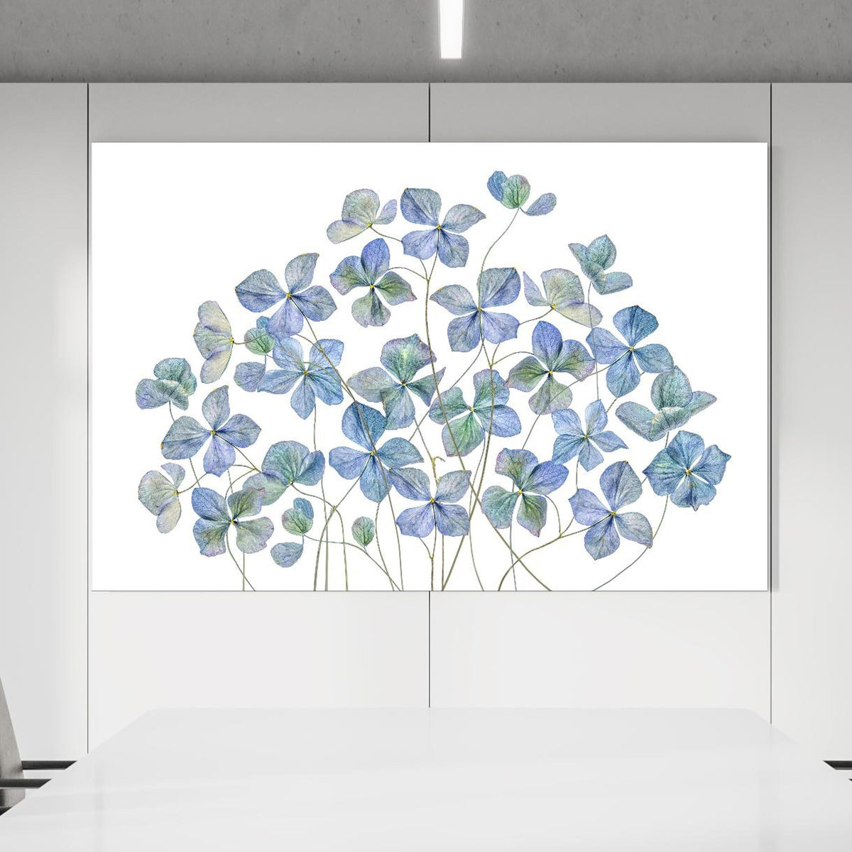 Office Poster - Florale Darstellung - Blaue Blumen in einem Konferenzraum an weißer Wand hängend Zoom