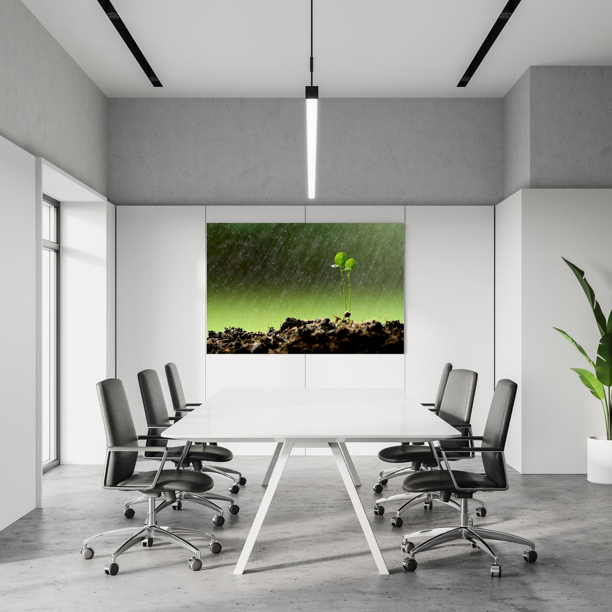 Office Poster - Keimende Pflanze bei Regen in einem Konferenzraum an weißer Wand hängend