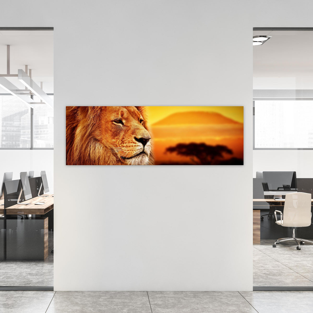Office Poster - Löwenporträt in der Savanne an weißer Wand in hell eingerichtetem Büro