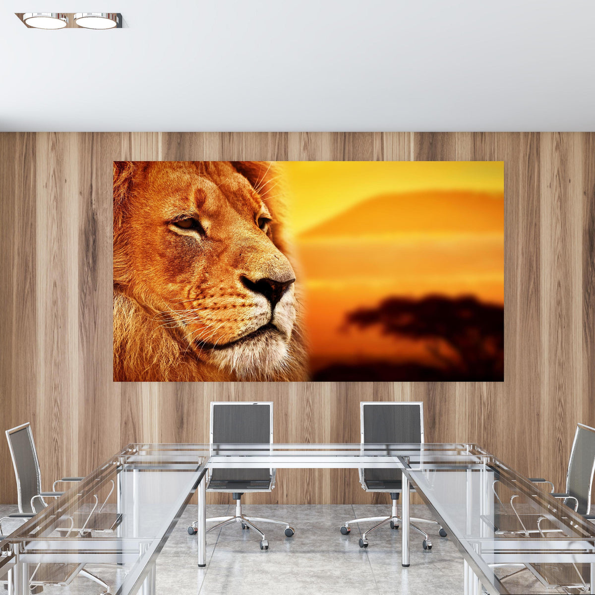 Office Poster - Löwenporträt in der Savanne in einem Konferenzraum mit Glastisch und Holzwand