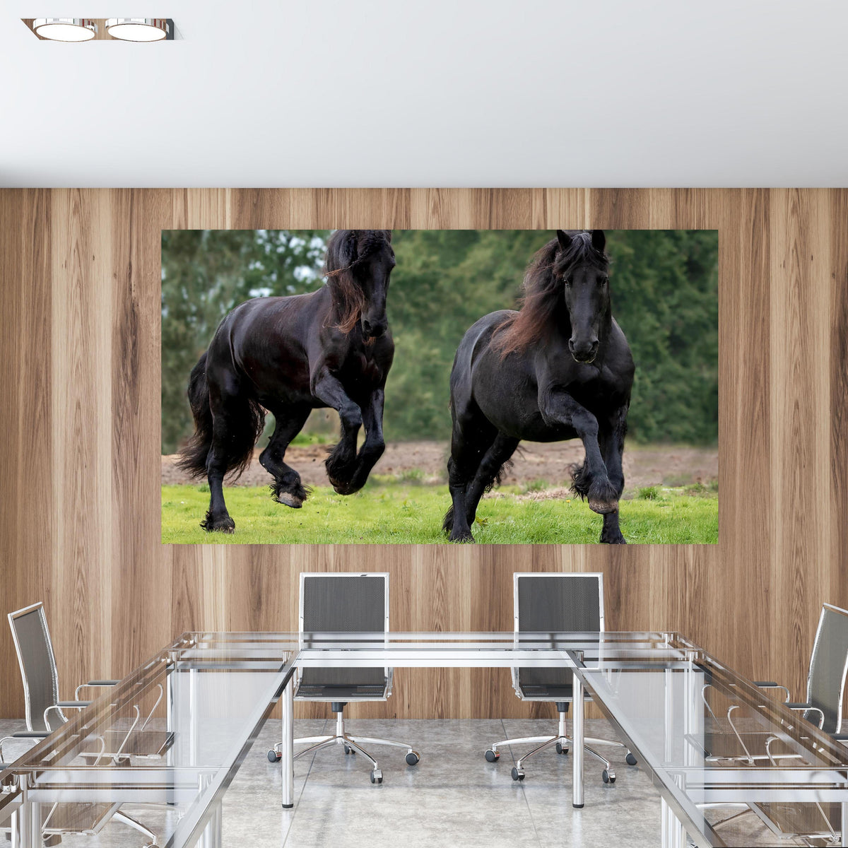 Office Poster - Schwarze prächtige Friesenpferde in einem Konferenzraum mit Glastisch und Holzwand