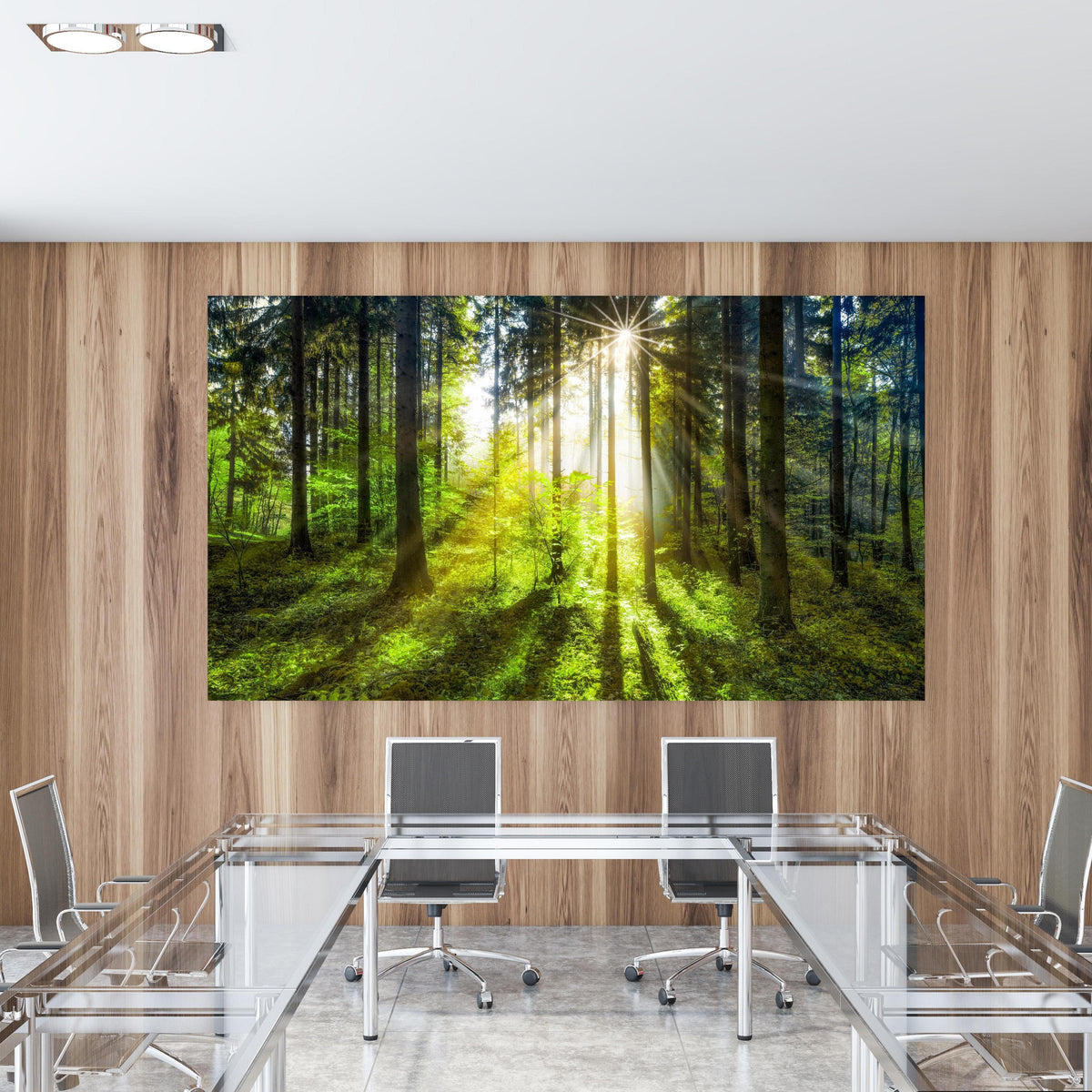 Office Poster - Sonnenstrahlen im lebendigem Wald in einem Konferenzraum mit Glastisch und Holzwand