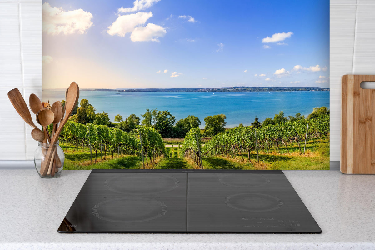Spritzschutz - Bodensee Panorama in Birnau hinter einem Cerankochfeld zwischen Holz-Kochutensilien