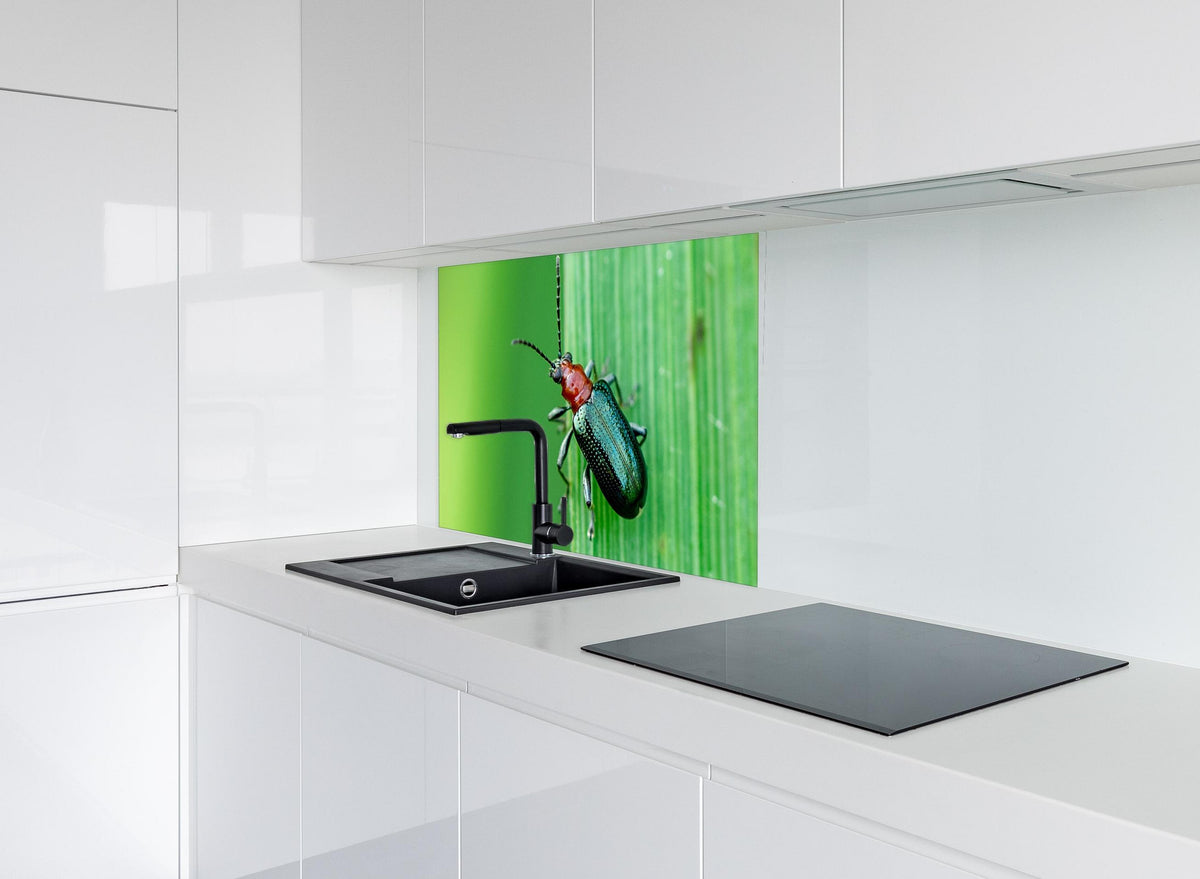 Spritzschutz - Käfer auf Blatt hinter modernem schwarz-matten Spülbecken in weißer Hochglanz-Küche