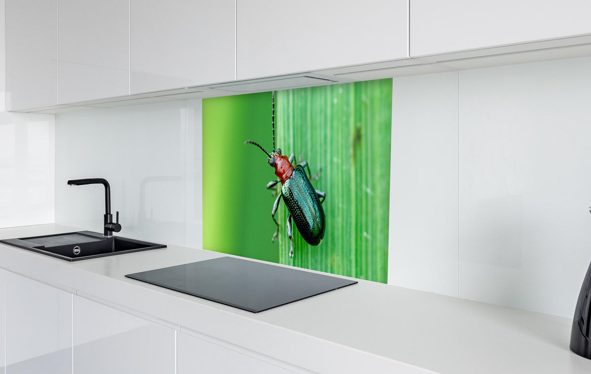 Spritzschutz - Käfer auf Blatt in weißer Hochglanz-Küche hinter einem Cerankochfeld