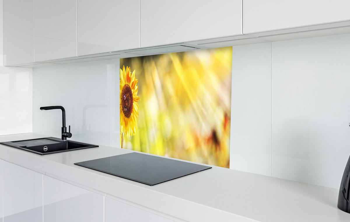 Spritzschutz - Sonnenblume in weißer Hochglanz-Küche hinter einem Cerankochfeld