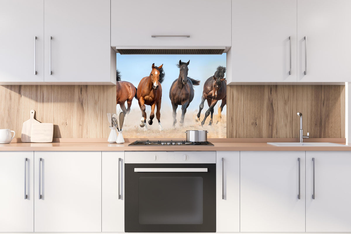 Spritzschutz - Stolz trabende Pferde hinter stilvollem Gasherd unter Dunstabzugshaube