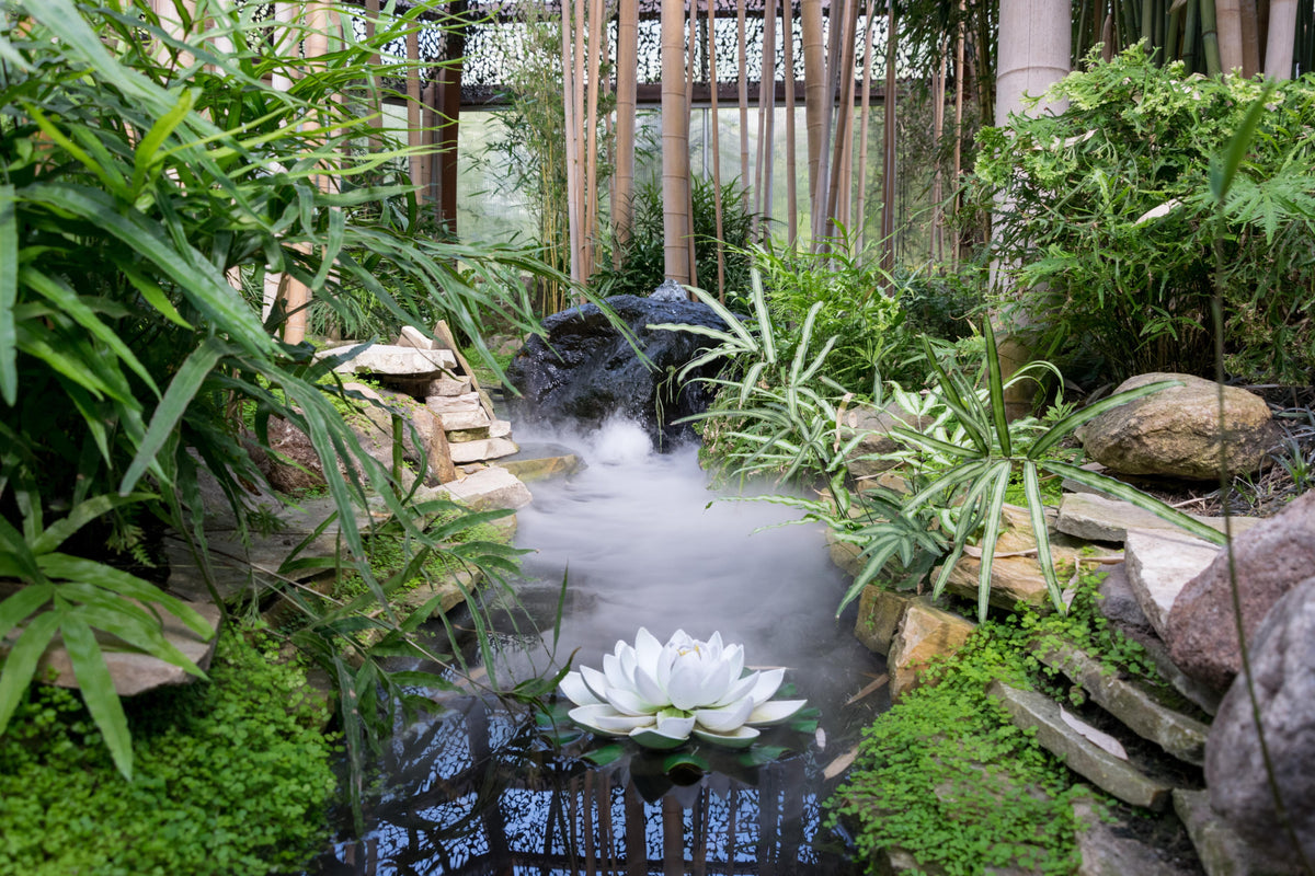 Spritzschutz-Zen-Garten mit weißer Seerose