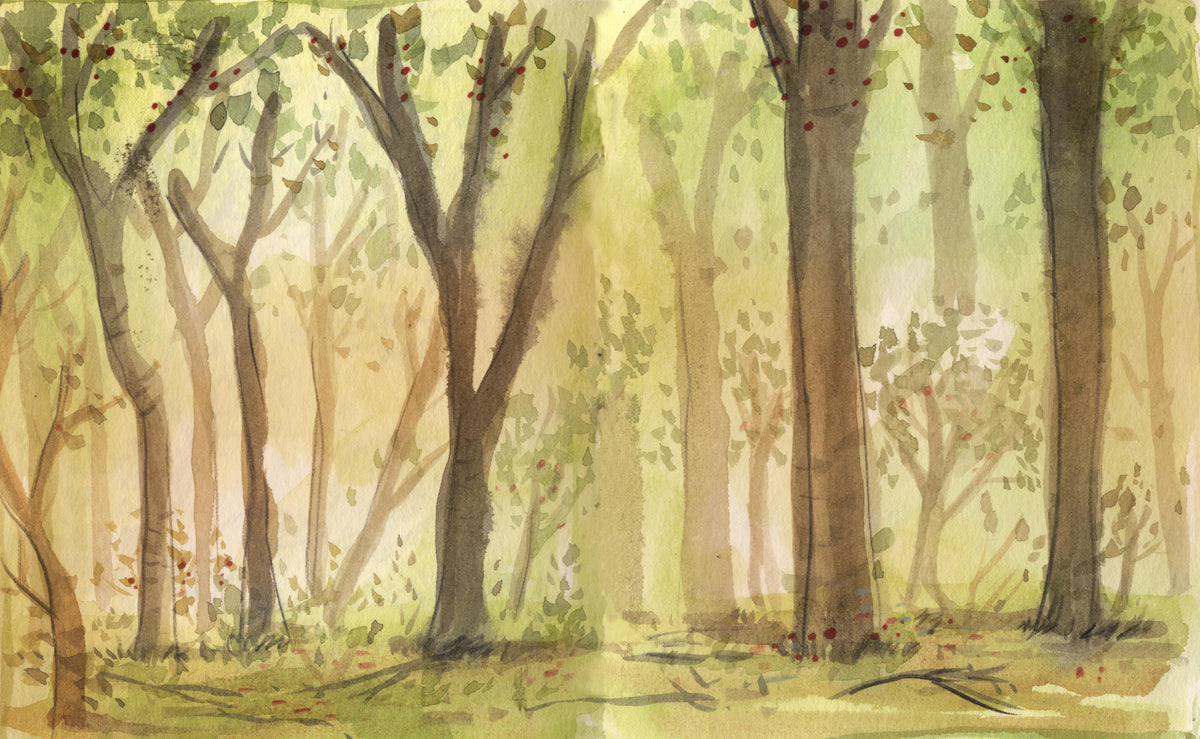 Spritzschutz-heller Aquarell Wald