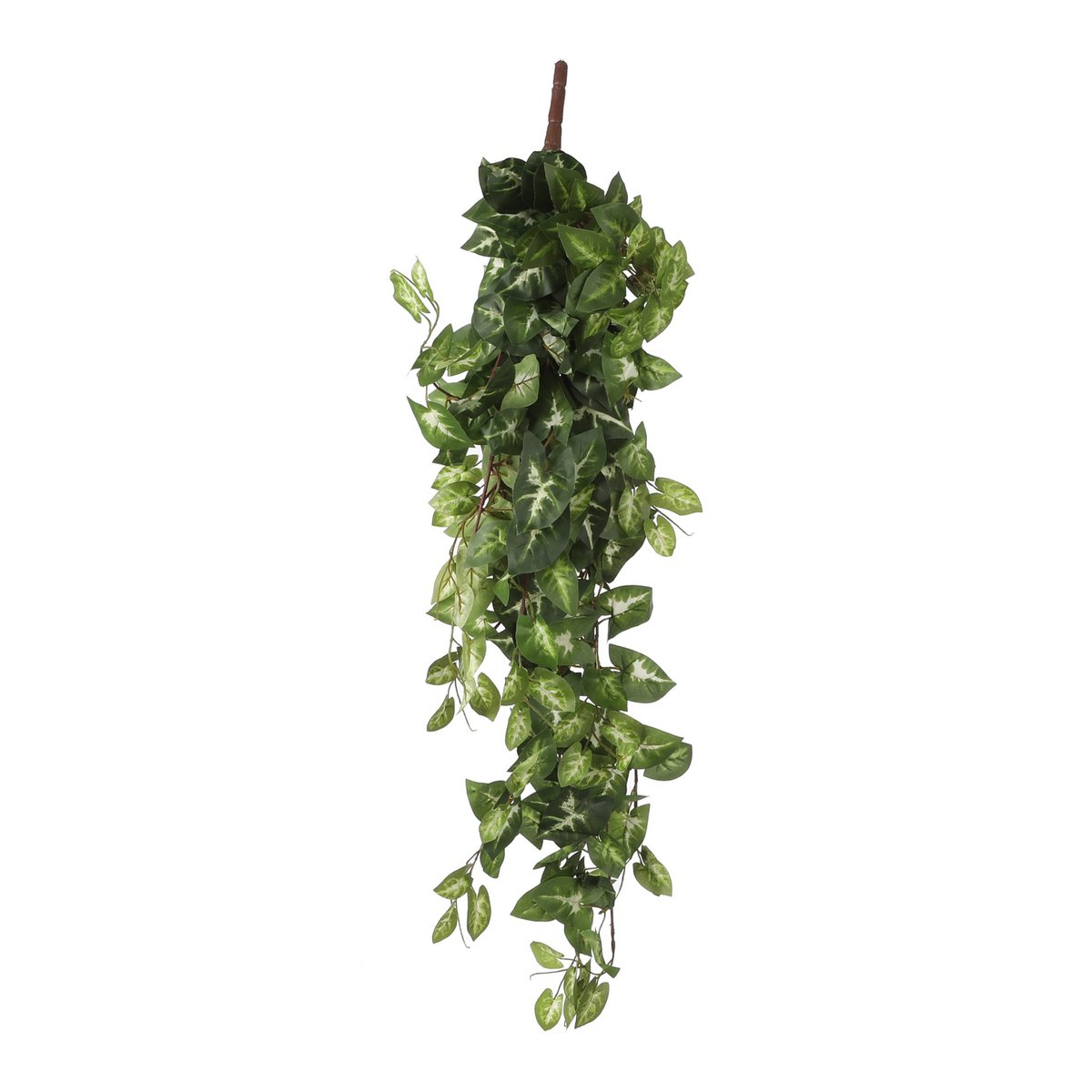 Künstliche Hängepflanze Fittonia Green