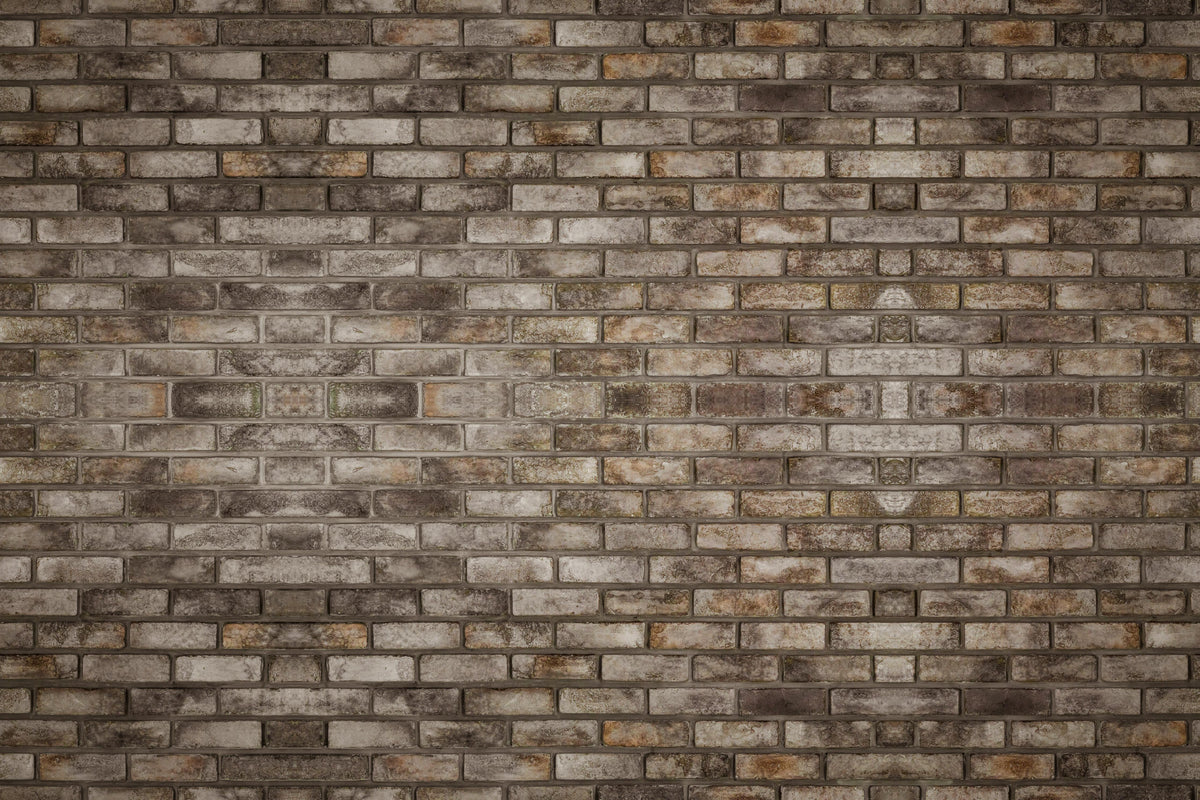 Duschrückwand-Dunkle Steinmauer