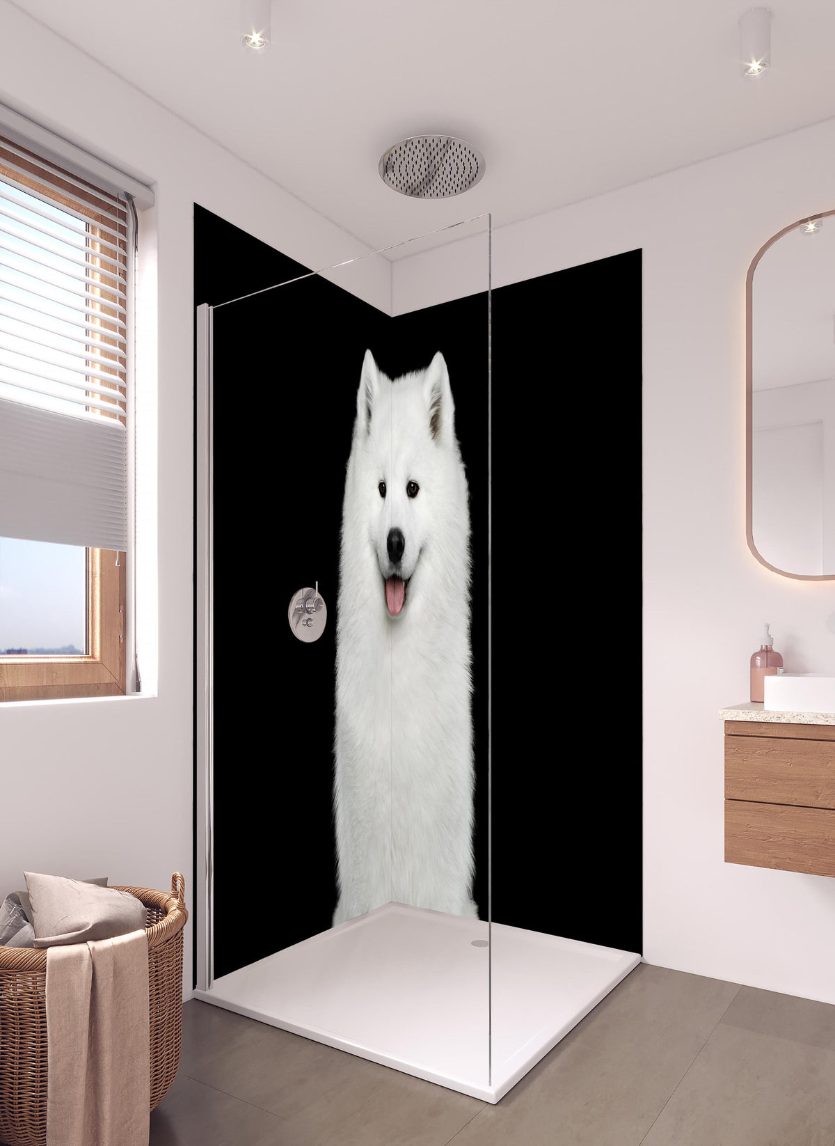 Duschrückwand - Samojeden Hund in hellem Badezimmer mit Regenduschkopf  - zweiteilige Eck-Duschrückwand