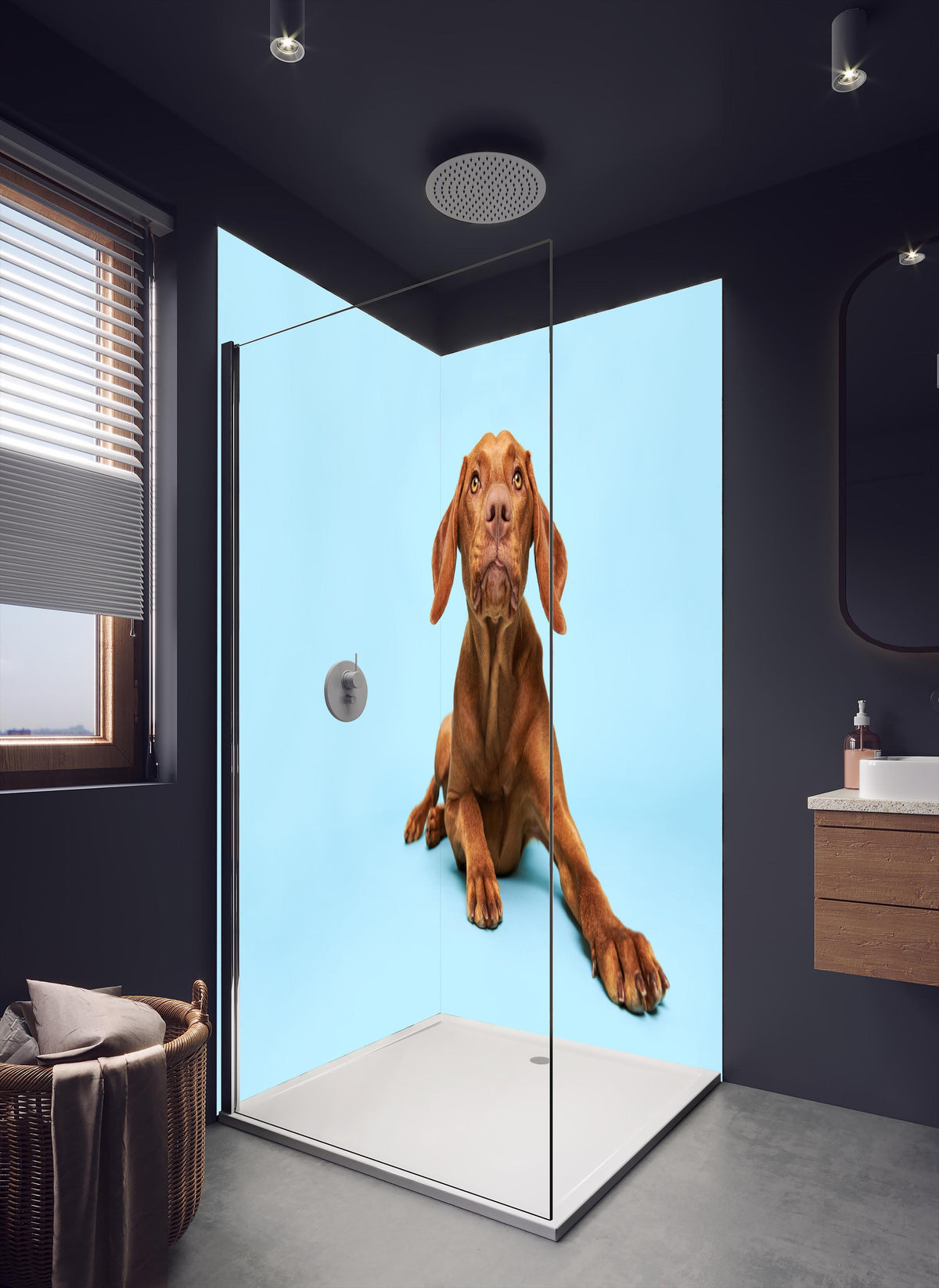 Duschrückwand - Ungarischer Vizsla-Welpe Portrait in dunklem Badezimmer mit Regenduschkopf