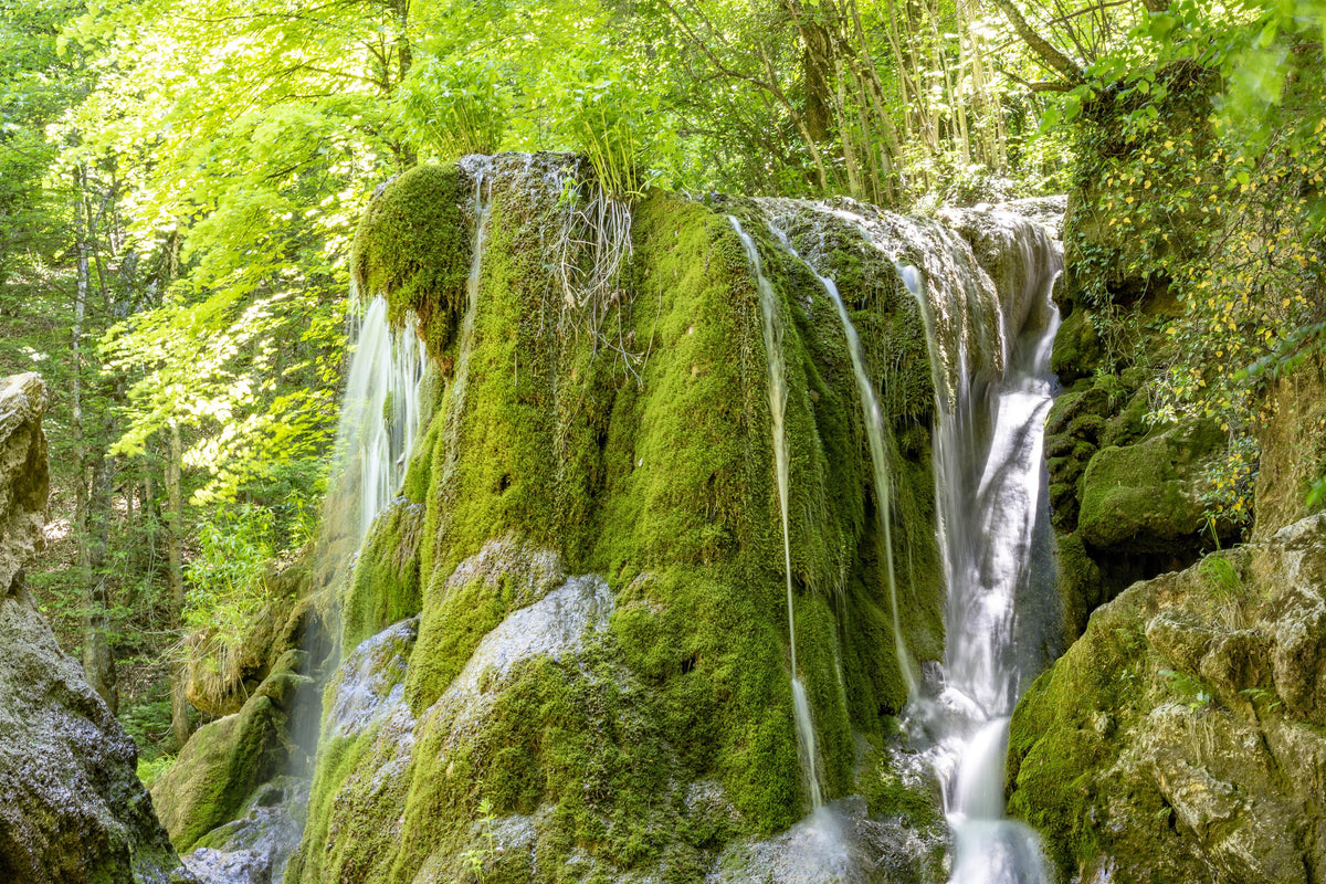 Duschrückwand-Wasserfall im Wald - Sevastopol