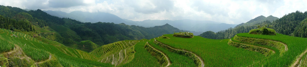 Küchenrückwand-Chinesische Reisfelder auf den Bergen
