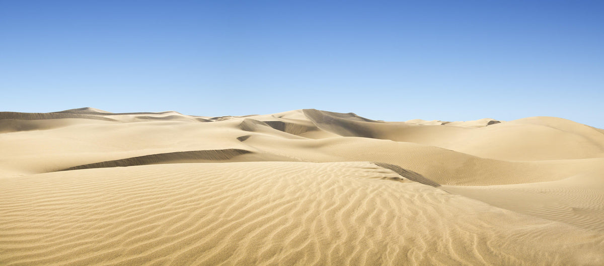 Küchenrückwand-Gold desert