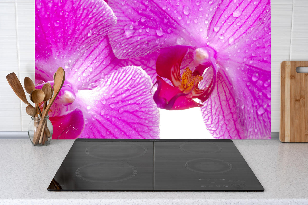 Küche - Pinke Orchideen hinter Cerankochfeld und Holz-Kochutensilien
