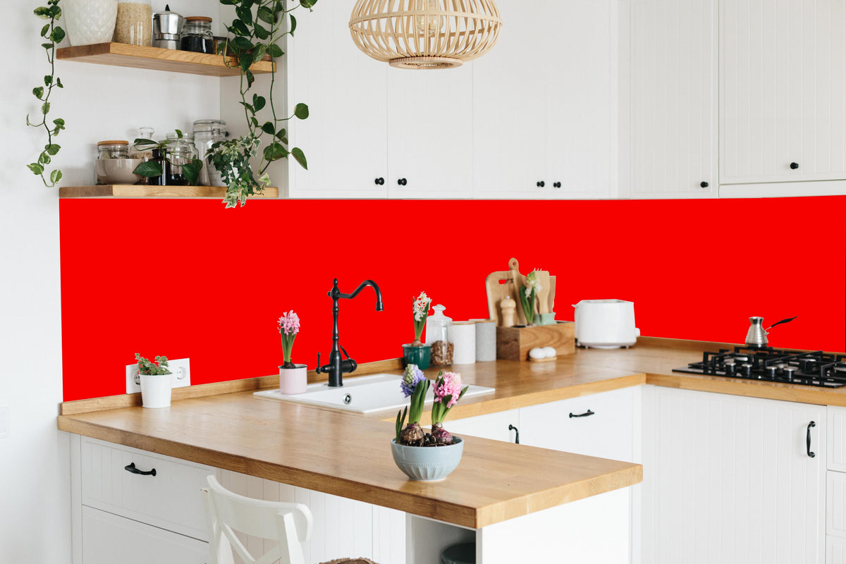 Küche - RAL 3024 (leuchtendes Rot) in lebendiger Küche mit bunten Blumen
