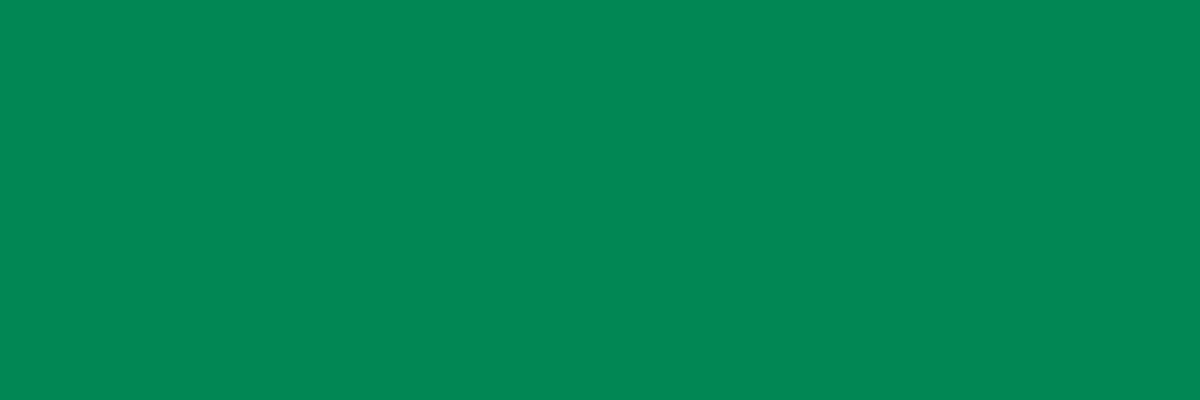 Küchenrückwand-RAL 6024 (Verkehrsgrün)