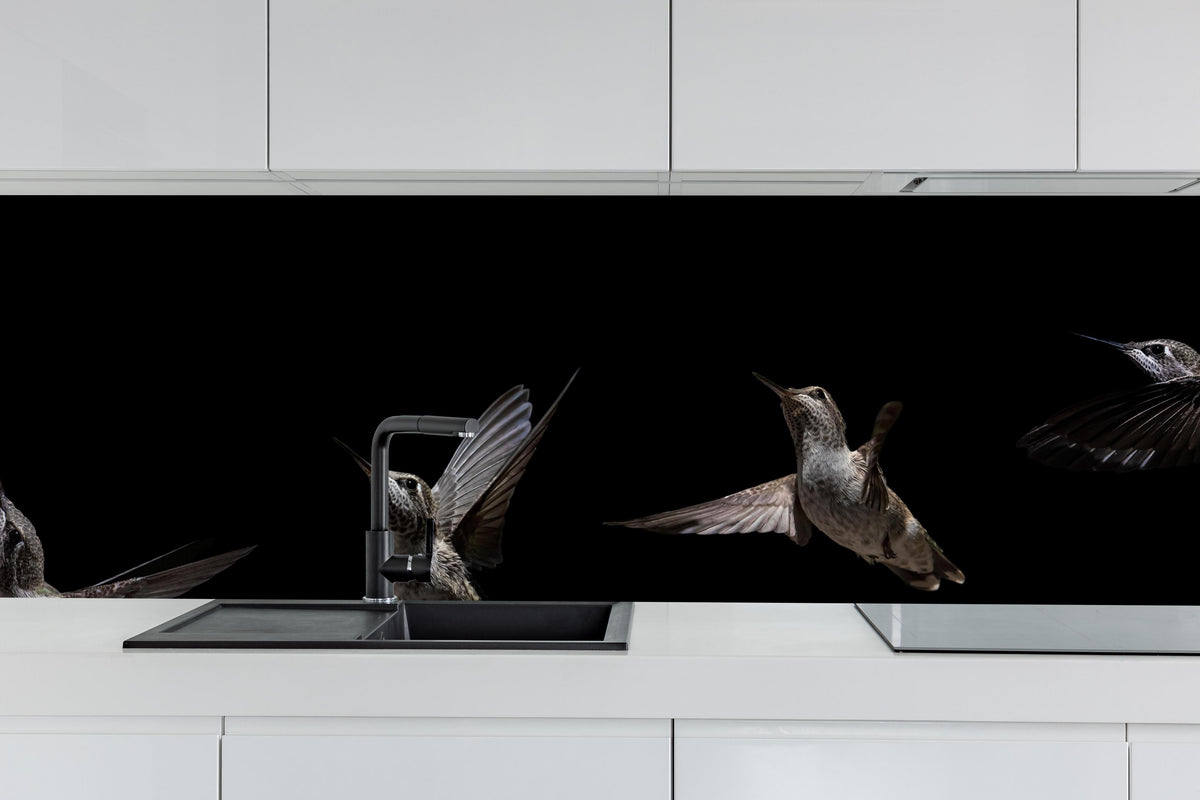 Küche - Schwarzkinnkolibri Vogel mit Schwarzem Hintergrund hinter weißen Hochglanz-Küchenregalen und schwarzem Wasserhahn
