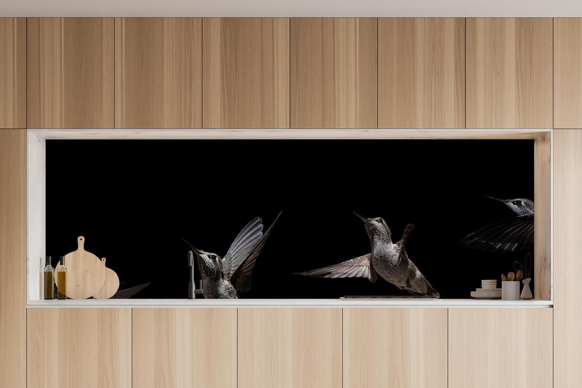 Küche - Schwarzkinnkolibri Vogel mit Schwarzem Hintergrund in charakteristischer Vollholz-Küche mit modernem Gasherd