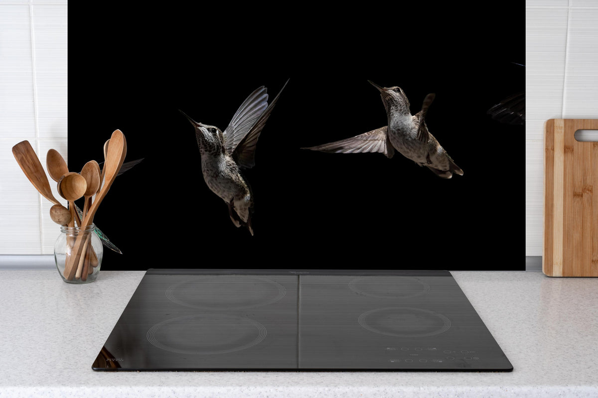 Küche - Schwarzkinnkolibri Vogel mit Schwarzem Hintergrund hinter Cerankochfeld und Holz-Kochutensilien