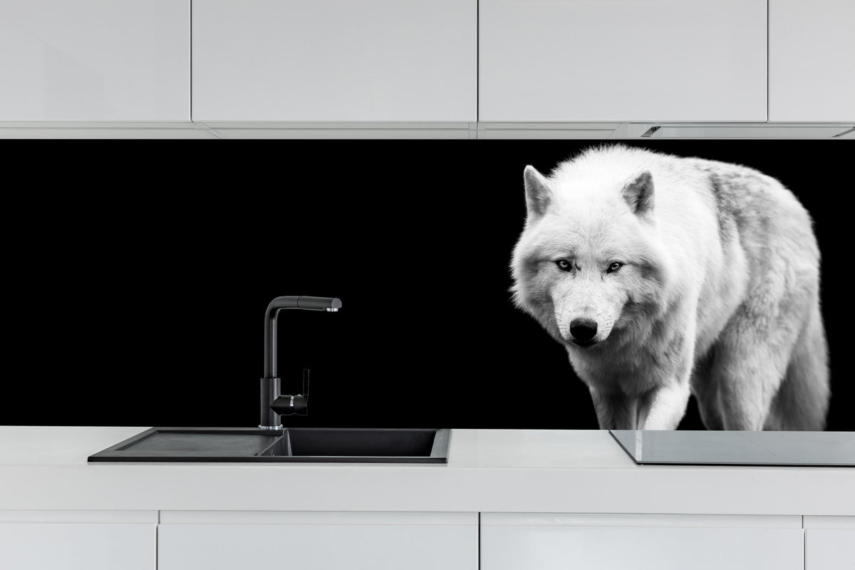 Küche - Weißer Wolf mit schwarzem Hintergrund hinter weißen Hochglanz-Küchenregalen und schwarzem Wasserhahn