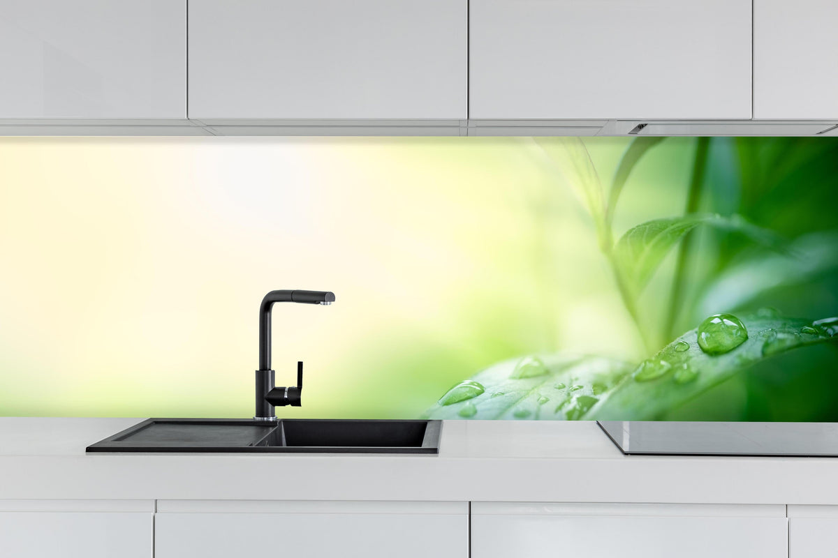 Küche - Natur Grünes Blatt mit Regentropfen hinter weißen Hochglanz-Küchenregalen und schwarzem Wasserhahn