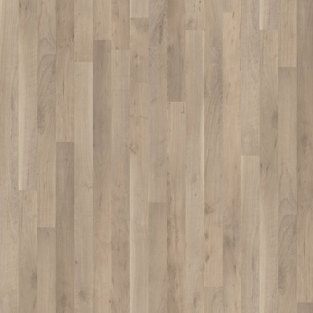 Light Structure Wood.jpg
