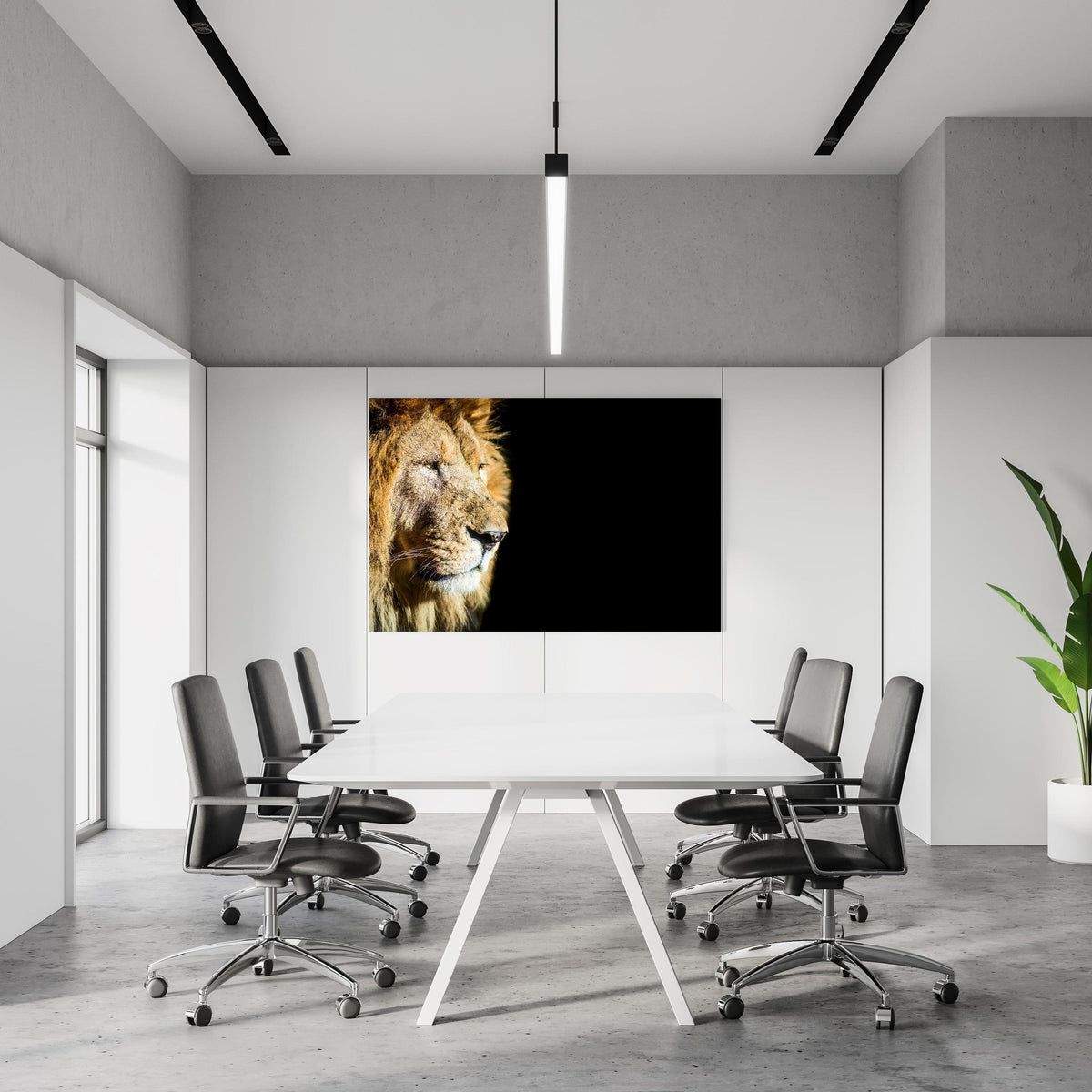 Office Poster  - Alter Löwe auf schwarzem Hintergrund in einem Konferenzraum an weißer Wand hängend