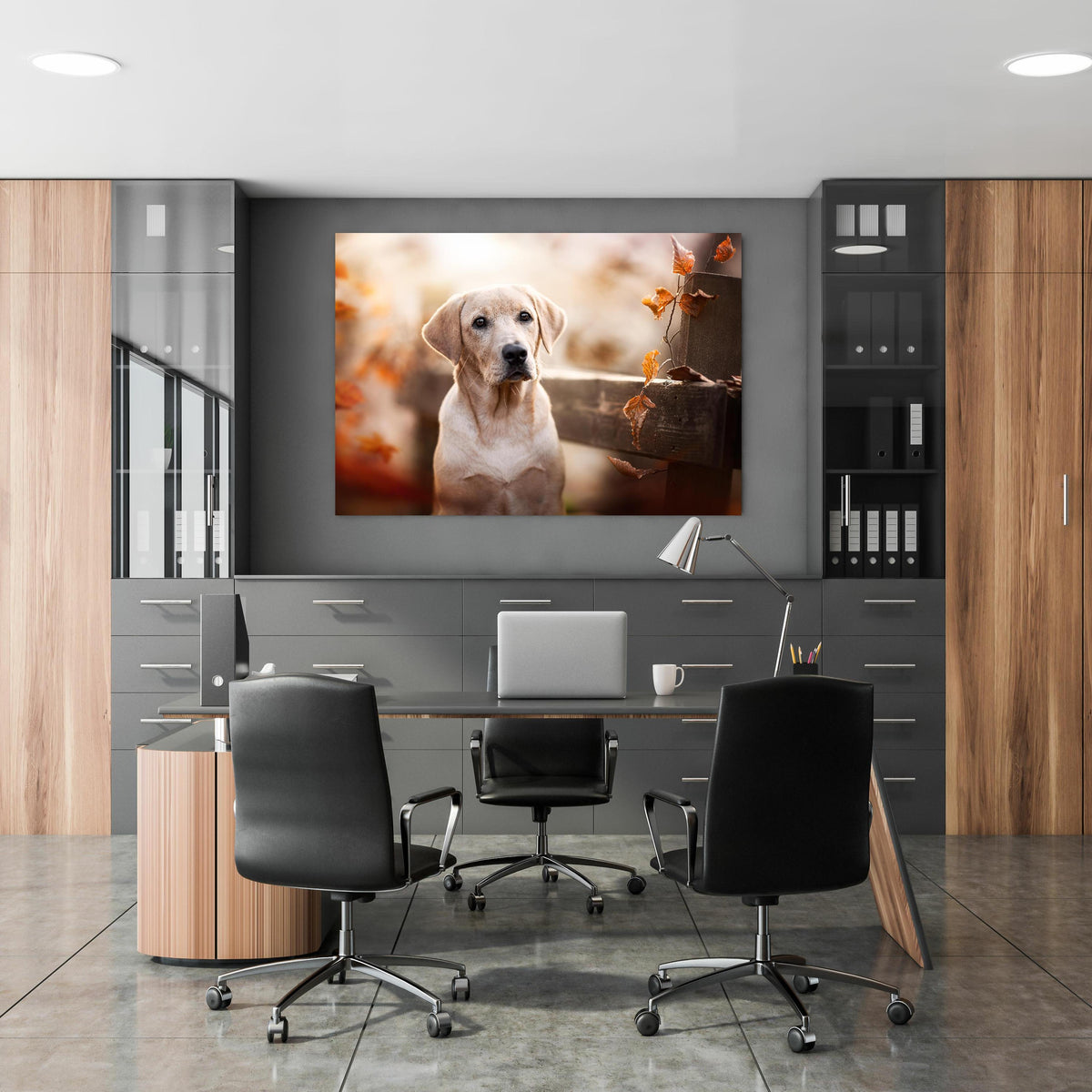 Office Poster  - Niedlicher Labrador Welpe in klassischem Büroraum zwischen Holzschränken