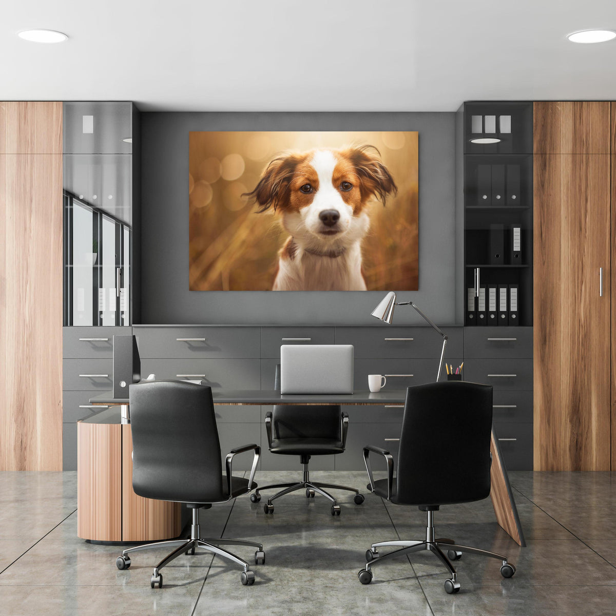 Office Poster  - Portrait eines süßen Kooiker Hundes in klassischem Büroraum zwischen Holzschränken