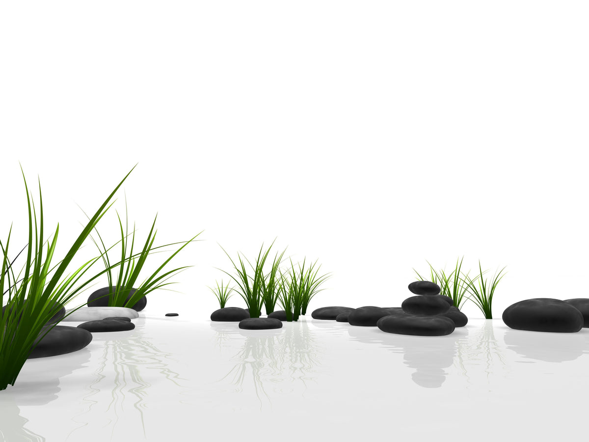 Office Poster-Ruhiges Steine Gefilde mit Gras und Wasser