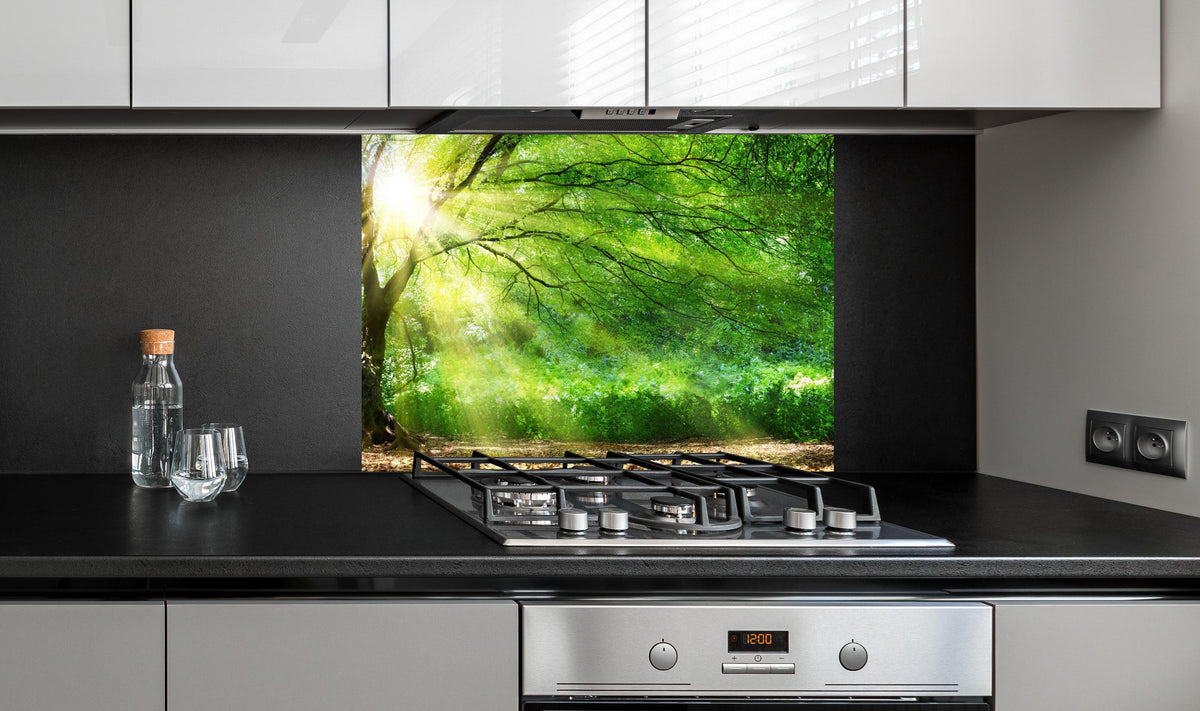 Spritzschutz - Energiegeladener Wald an edler Anthrazit-Wand hinter silbernem Gasherd