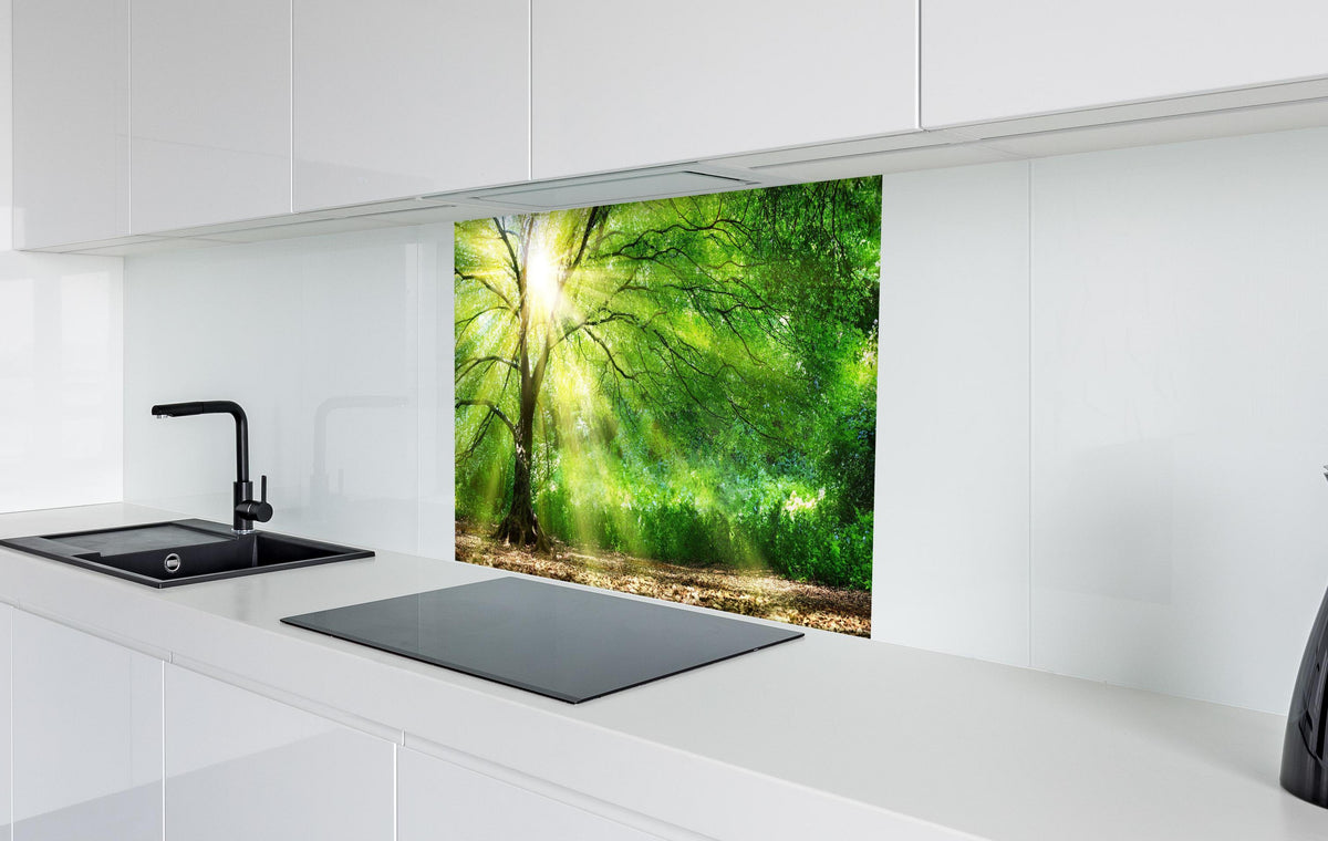 Spritzschutz - Energiegeladener Wald  in weißer Hochglanz-Küche hinter einem Cerankochfeld