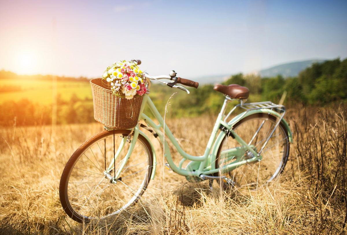 Spritzschutz-Fahrrad mit Blumenkorb auf Wiese 