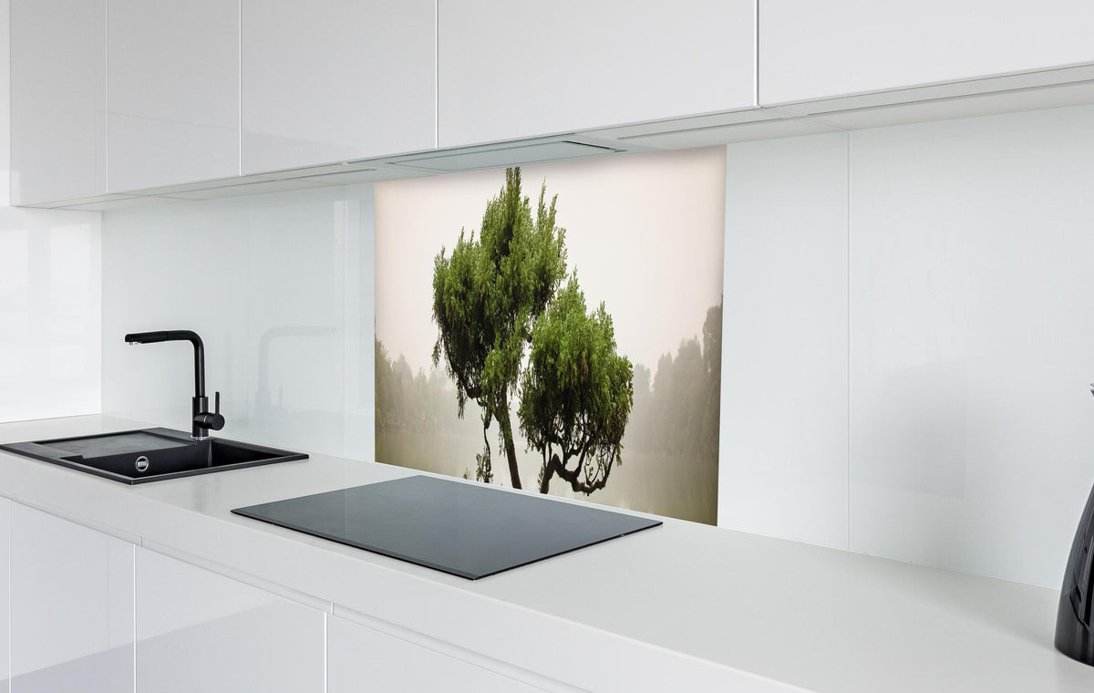 Spritzschutz - Japanischer Bonsaibaum im Topf   in weißer Hochglanz-Küche hinter einem Cerankochfeld