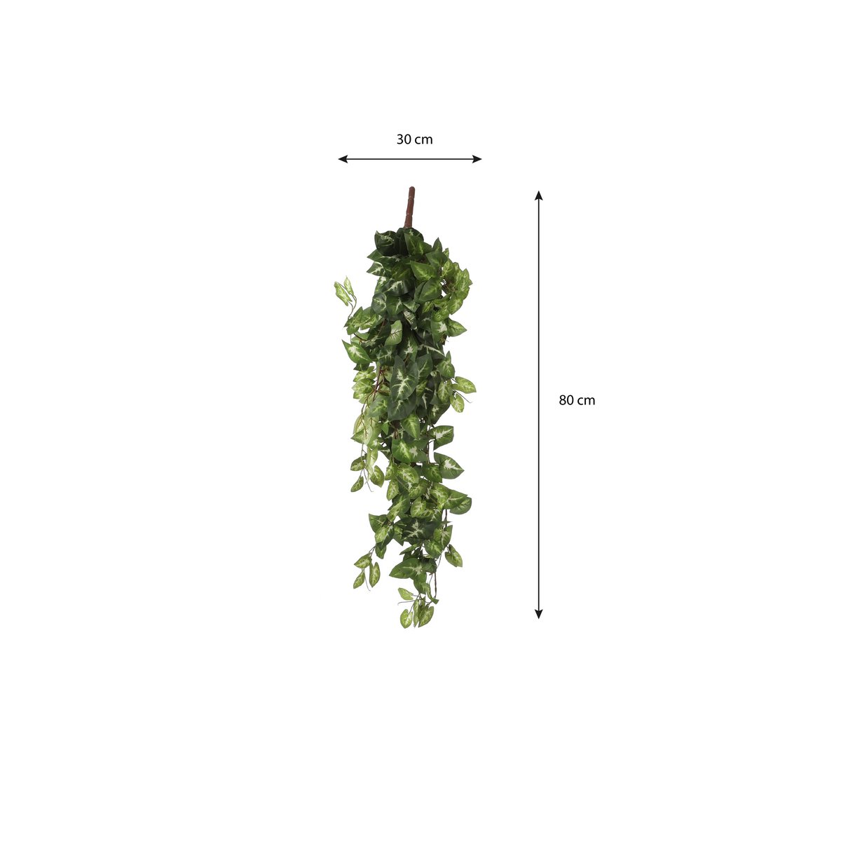 Künstliche Hängepflanze Fittonia Green